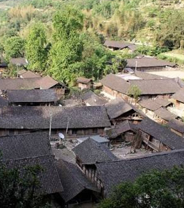 n12.jpg